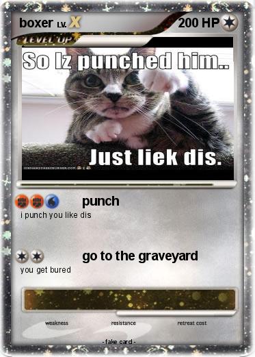 Pokemon boxer
