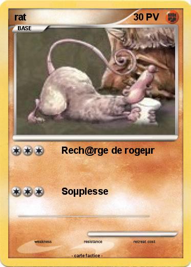Pokemon rat
