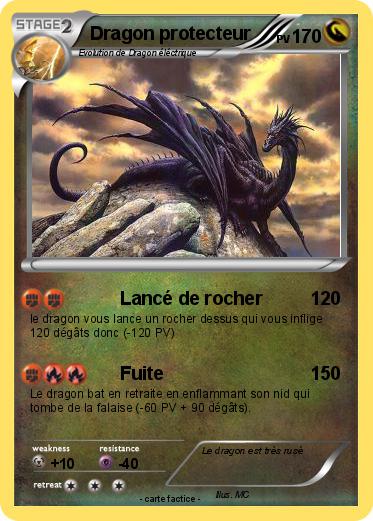 Pokemon Dragon protecteur