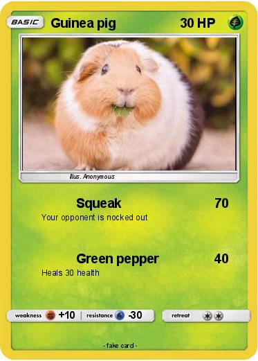 Pokemon Guinea pig