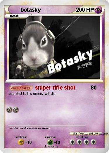 Pokemon botasky