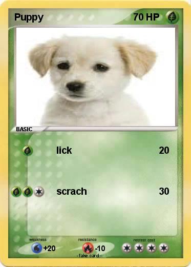 Pokemon Puppy