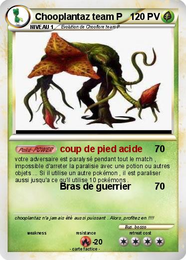 Pokemon Chooplantaz team P