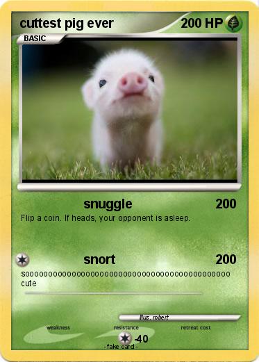 Pokemon cuttest pig ever