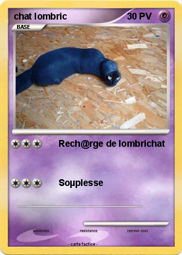 Pokemon chat lombric