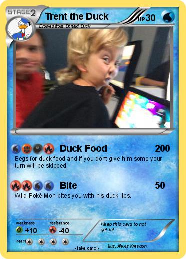 Pokemon Trent the Duck