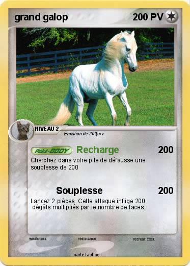 Pokemon grand galop