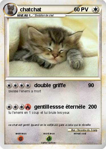 Pokemon chatchat