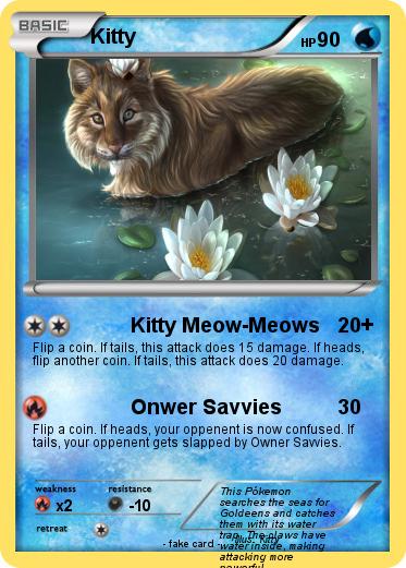 Pokemon Kitty