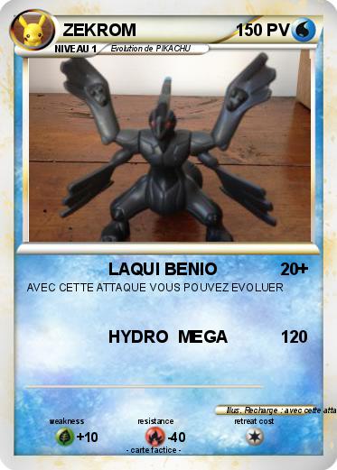 Pokemon ZEKROM