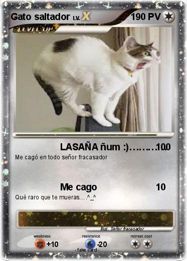 Pokemon Gato saltador