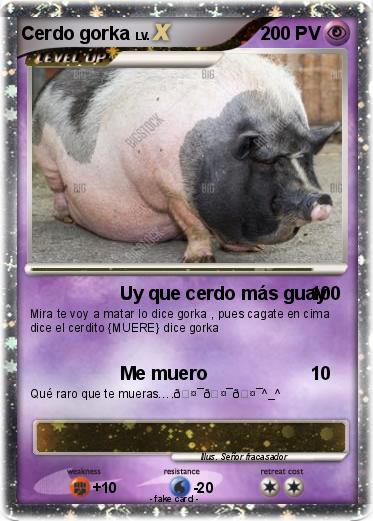 Pokemon Cerdo gorka