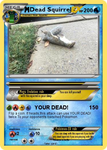 Pokemon Dead Squirrel