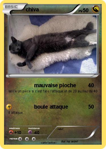 Pokemon chiva