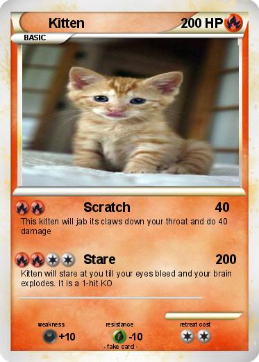 Pokemon Kitten