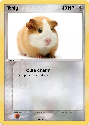 Pokemon Tepig