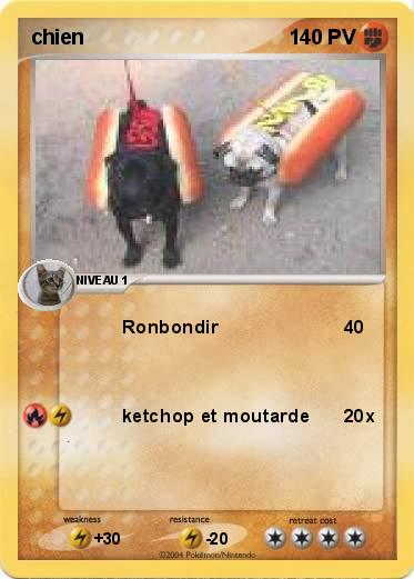 Pokemon chien