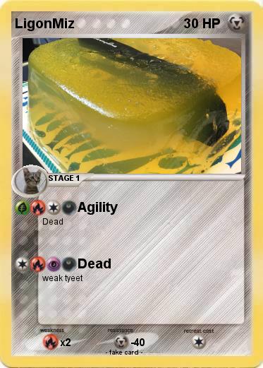 Pokemon LigonMiz