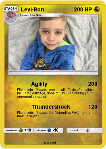 Pokemon Levi-Ron