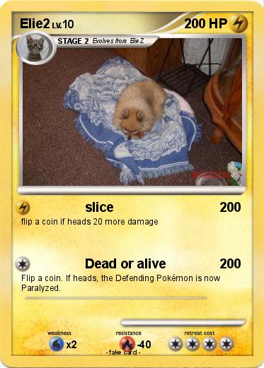 Pokemon Elie2