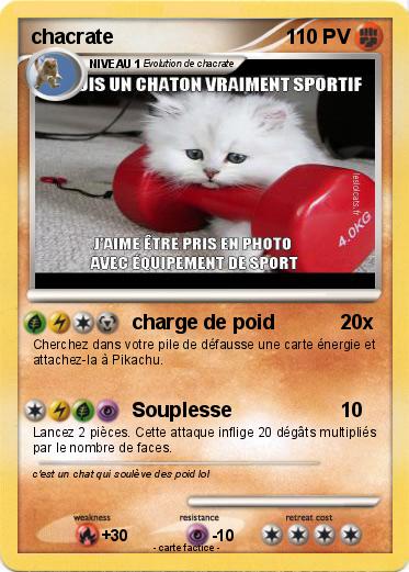Pokemon chacrate