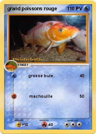 Pokemon grand poissons rouge