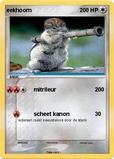 Pokemon eekhoorn