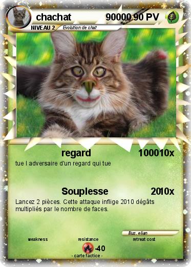 Pokemon chachat             90000