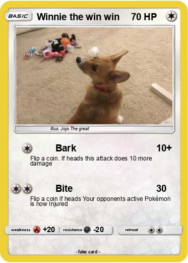 Pokemon Winnie the win win