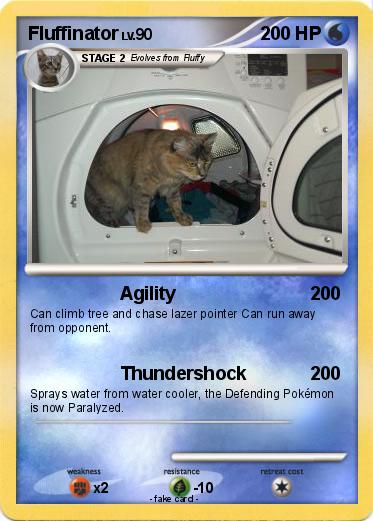 Pokemon Fluffinator