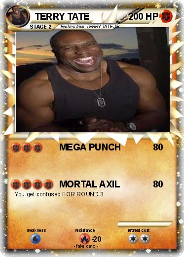 Pokemon TERRY TATE