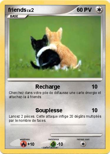 Pokemon friends