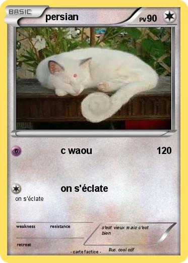Pokemon persian