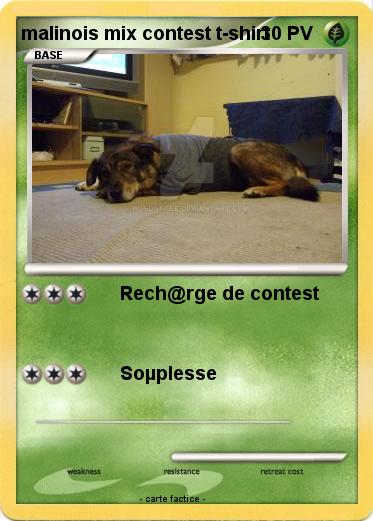 Pokemon malinois mix contest t-shirt