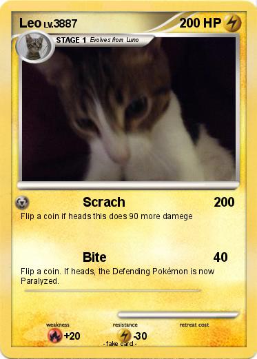 Pokemon Leo
