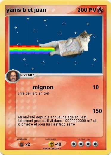 Pokemon yanis b et juan