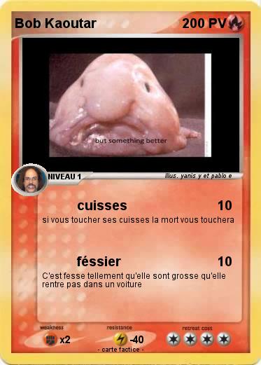 Pokemon Bob Kaoutar