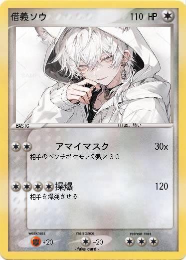 Pokemon 借義ソウ