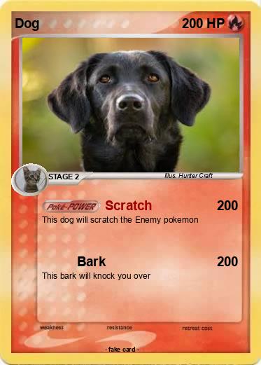 Pokemon Dog