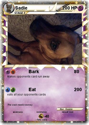 Pokemon Sadie