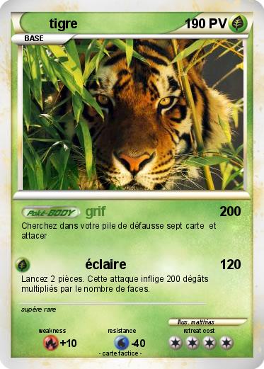 Pokemon tigre
