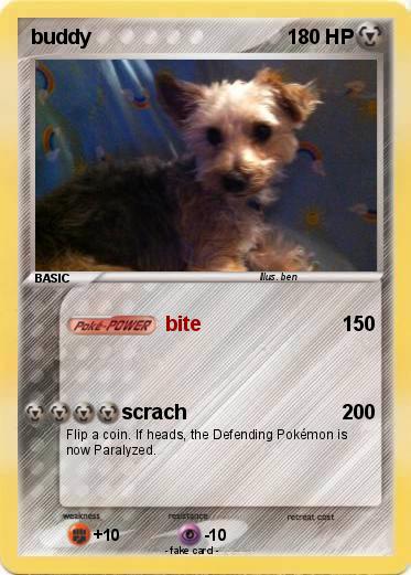 Pokemon buddy