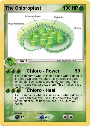 Pokemon The Chloroplast