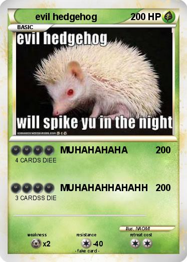 Pokemon evil hedgehog