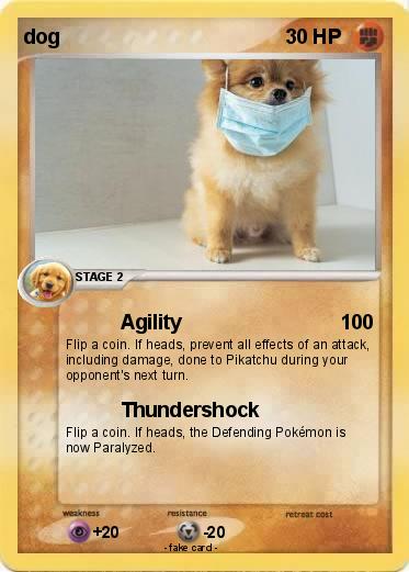 Pokemon dog