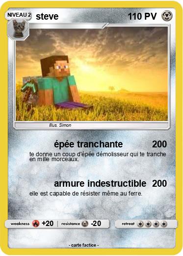 Pokemon steve