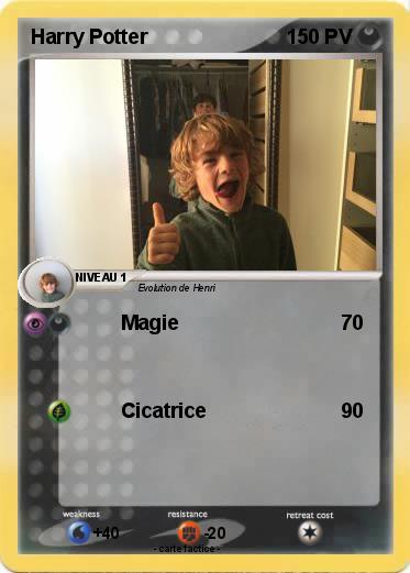 Pokemon Harry Potter