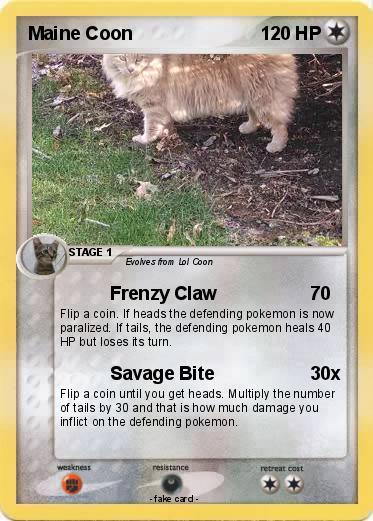 Pokemon Maine Coon