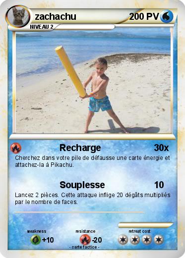 Pokemon zachachu