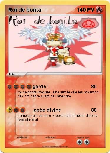 Pokemon Roi de bonta